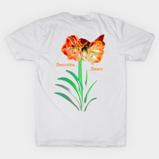 Amaryllis Amore T-Shirt